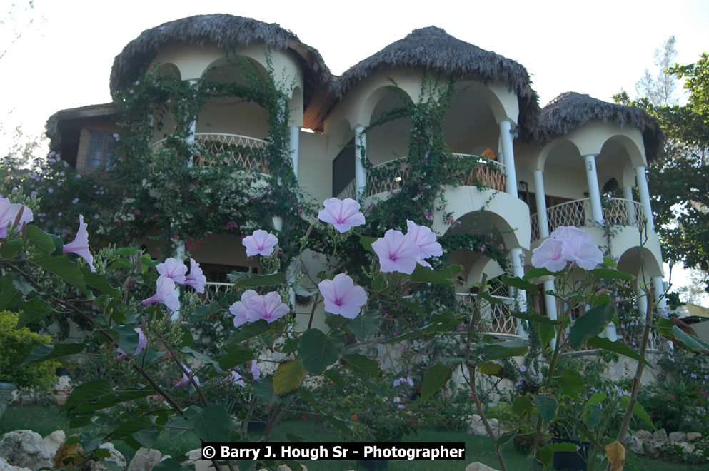 Catcha Fallen Star Resort Rises from the Destruction of Hurricane Ivan, West End, Negril, Westmoreland, Jamaica W.I. - Photographs by Net2Market.com - Barry J. Hough Sr. Photojournalist/Photograper - Photographs taken with a Nikon D70, D100, or D300 -  Negril Travel Guide, Negril Jamaica WI - http://www.negriltravelguide.com - info@negriltravelguide.com...!